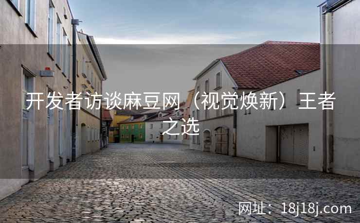 开发者访谈麻豆网（视觉焕新）王者之选