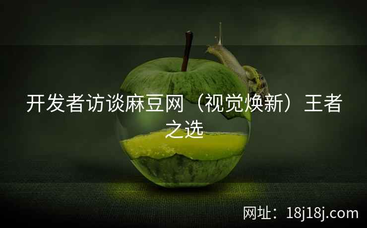 开发者访谈麻豆网（视觉焕新）王者之选