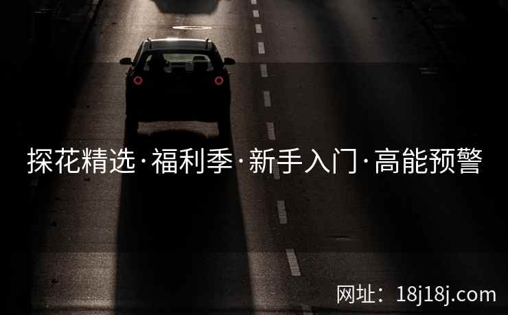 探花精选·福利季·新手入门·高能预警