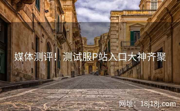 媒体测评！测试服P站入口大神齐聚
