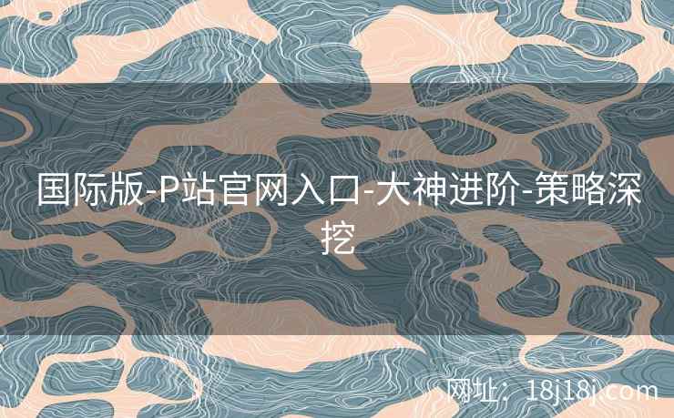 国际版-P站官网入口-大神进阶-策略深挖