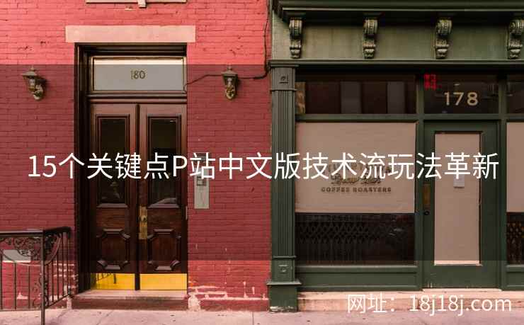 15个关键点P站中文版技术流玩法革新
