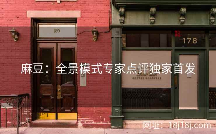 麻豆：全景模式专家点评独家首发