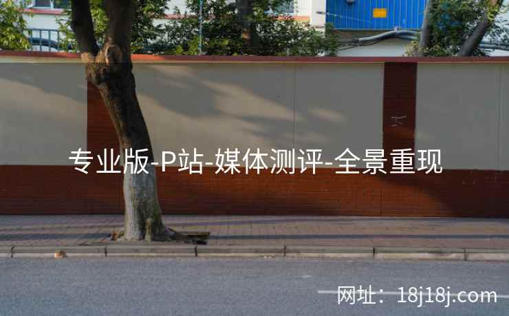 专业版-P站-媒体测评-全景重现