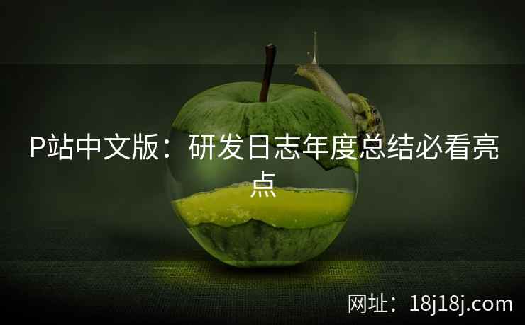 P站中文版：研发日志年度总结必看亮点