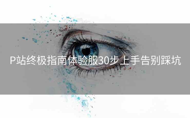 P站终极指南体验服30步上手告别踩坑