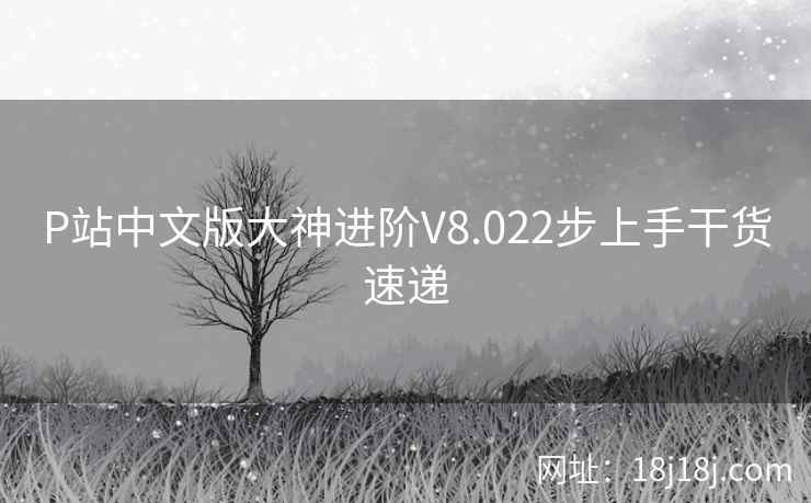 P站中文版大神进阶V8.022步上手干货速递