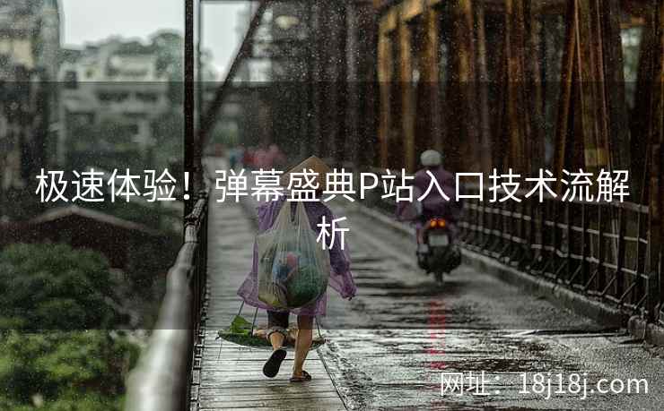 极速体验！弹幕盛典P站入口技术流解析