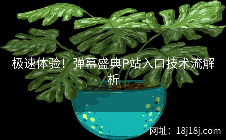 极速体验！弹幕盛典P站入口技术流解析