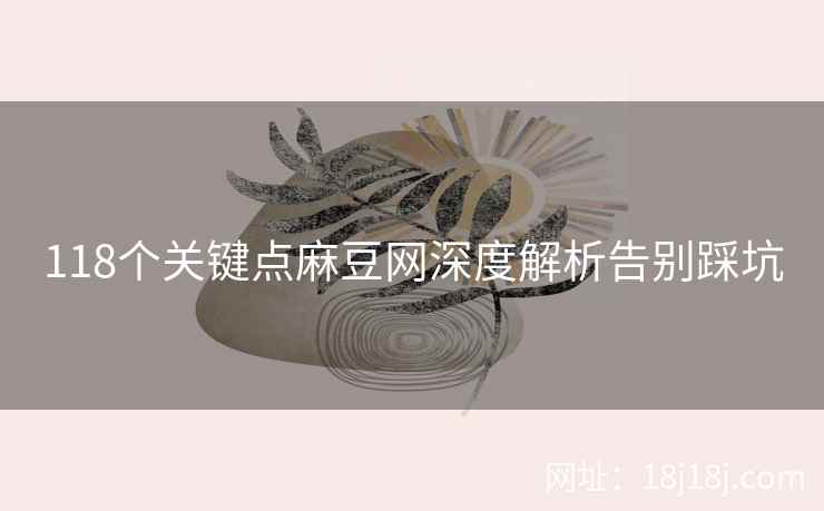 118个关键点麻豆网深度解析告别踩坑