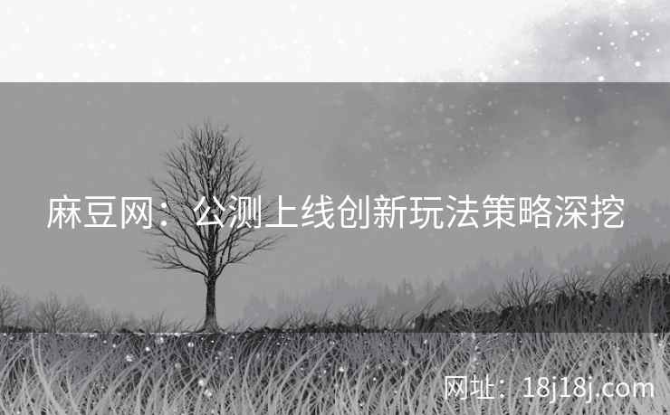 麻豆网：公测上线创新玩法策略深挖
