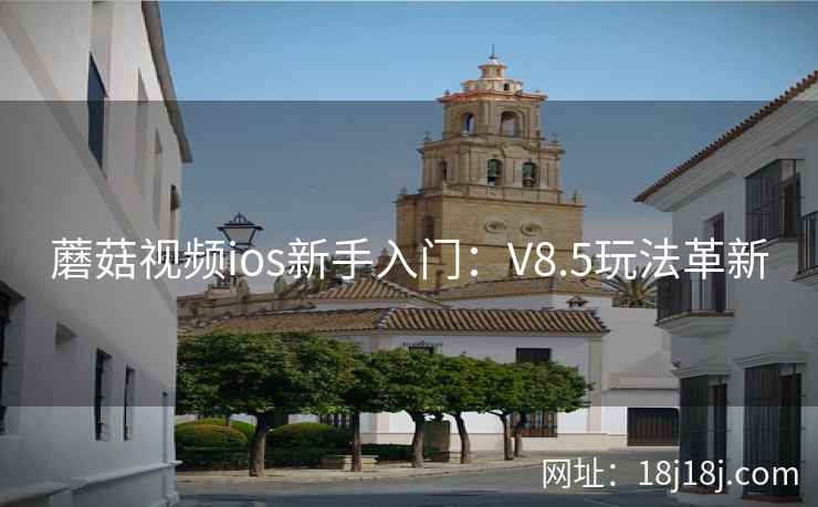 蘑菇视频ios新手入门：V8.5玩法革新