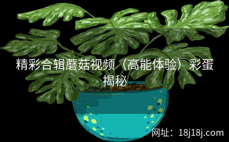 精彩合辑蘑菇视频（高能体验）彩蛋揭秘